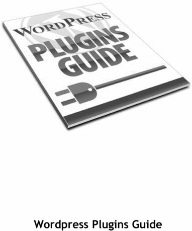 Product picture WORDPRESS PLUG IN GUIDE